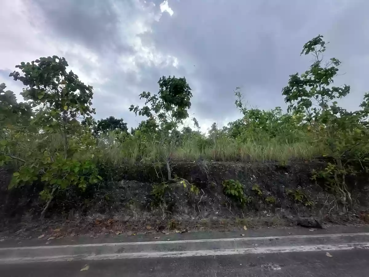 For Sale: 189 sqm Residential Lot Near Vista Grande, Talisay City — Residential Lot in Bulacao, Talisay City, Cebu — Photo 3