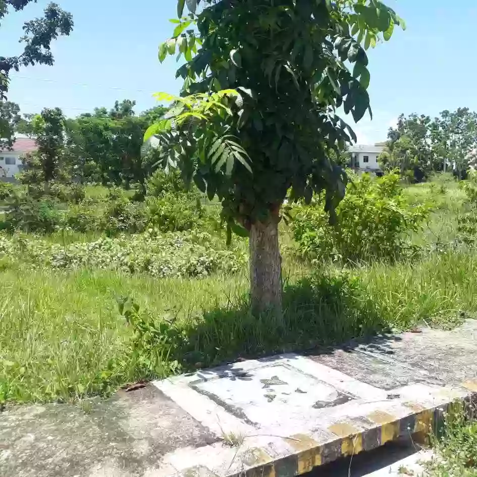 GLENROSE RESIDENTIAL LOT FOR SALE — Residential Lot in Perrelos, Carcar, Cebu — Photo 3