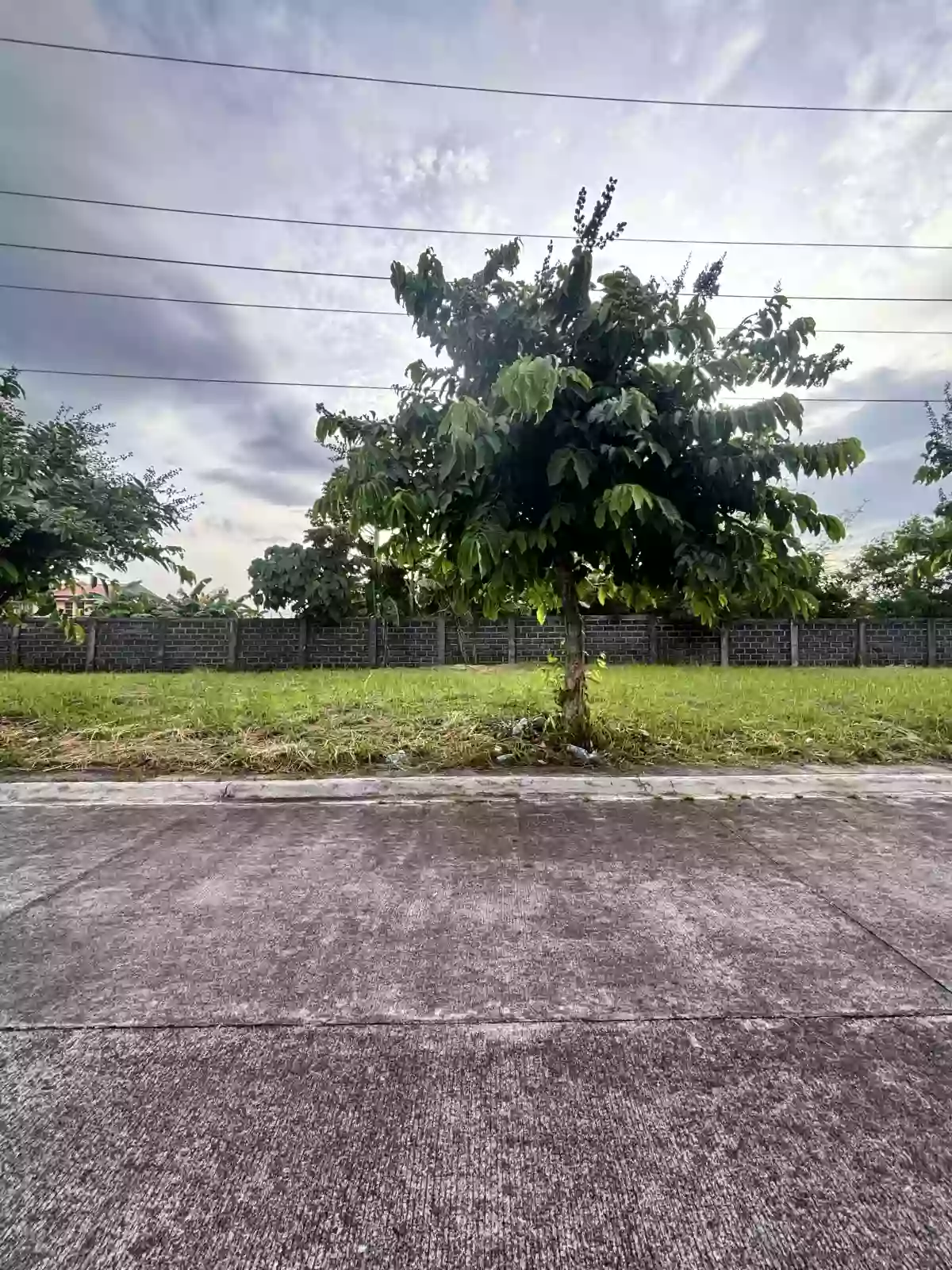 Camella Heights Residential Lot for Sale!