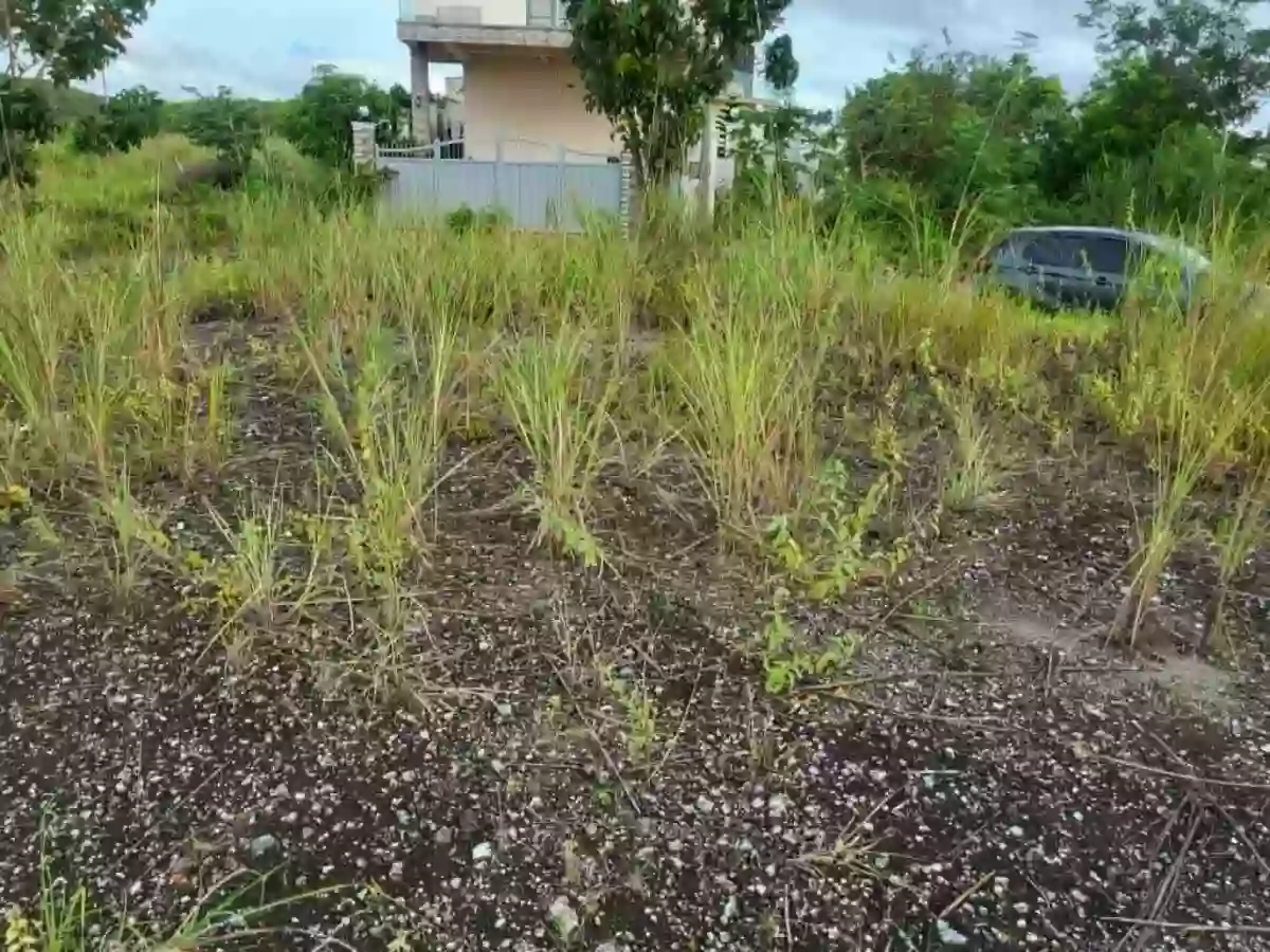 For Sale: Residential Lot in Cogon, Compostela — 191 sqm (corner lot) — Residential Lot in Compostela, Cebu, 6003 — Photo 3