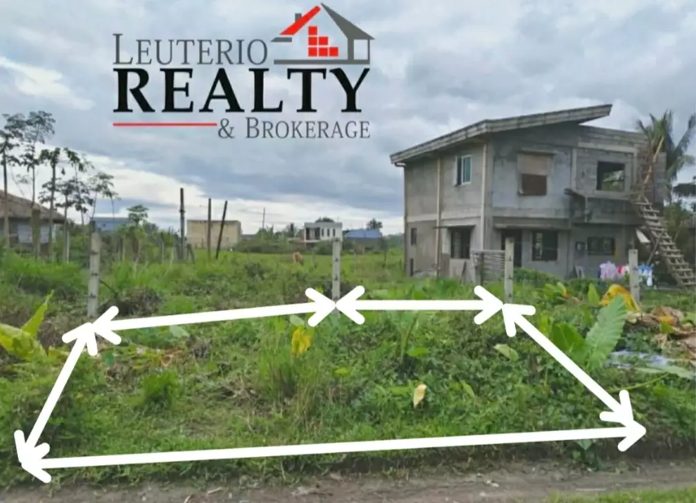 Residential Lot in Modern Village — Residential Lot in San Jose, Pili, Camarines Sur — Photo 3