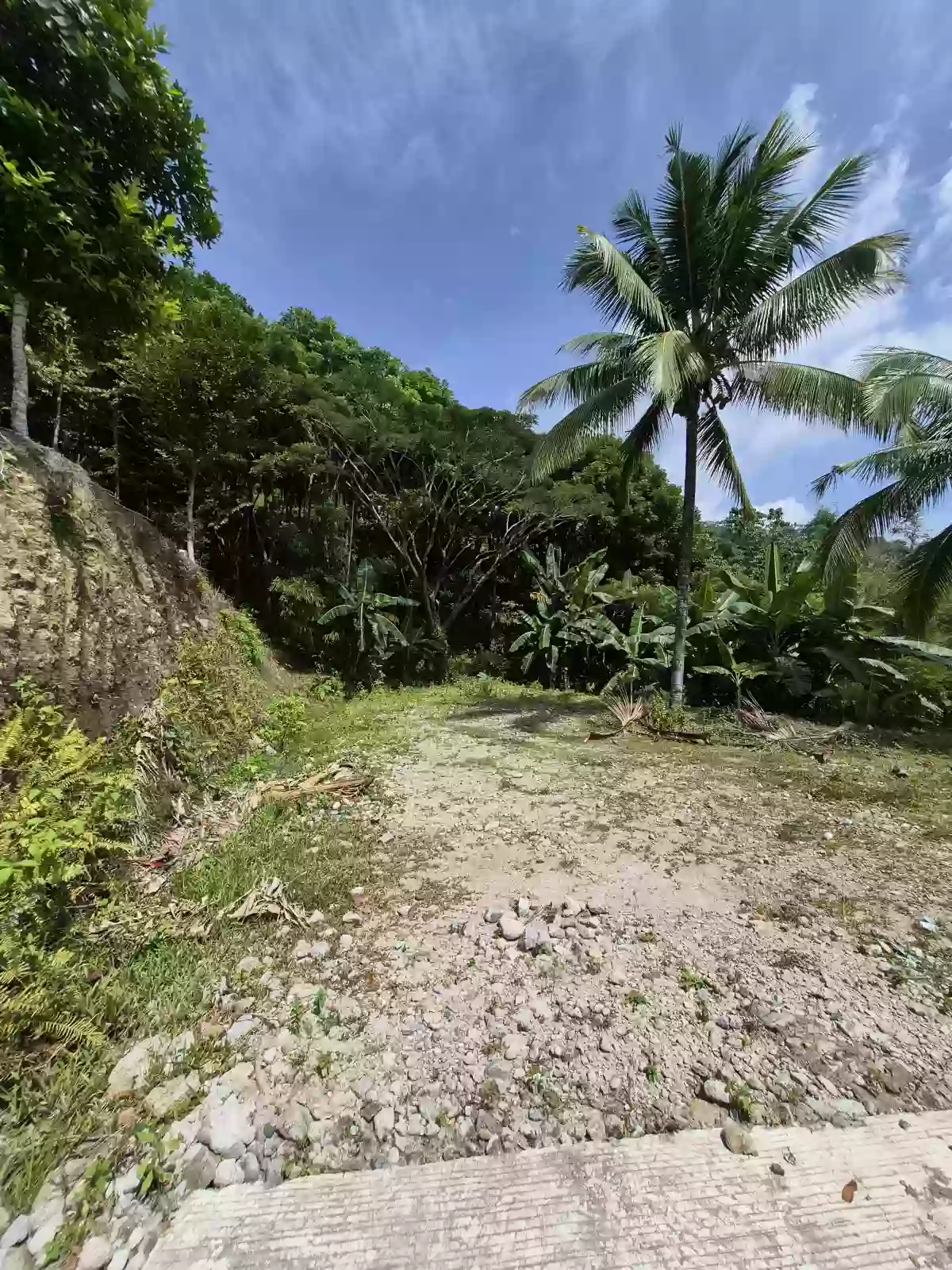 Open photo 8 of 12 — For Sale: Residential Lot in San Antonio, Sibulan — 300 sqm