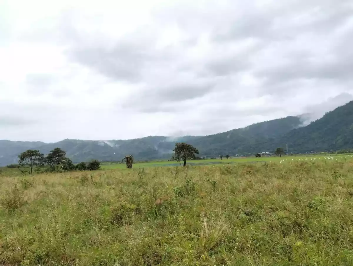 For Sale: 20892 sqm Agricultural Lot in Magsaysay, Jabonga — Agricultural Lot in Jabonga, Agusan del Norte, 8607 — Photo 2