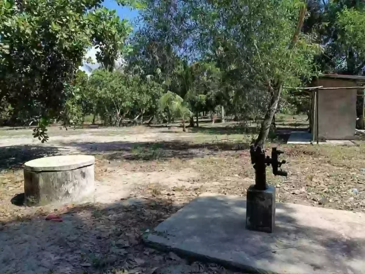 For Sale Beach Lot in Nauhang, Sipalay — 2212 sqm — Beach Lot in Sipalay, Negros Occidental, 6113 — Photo 3
