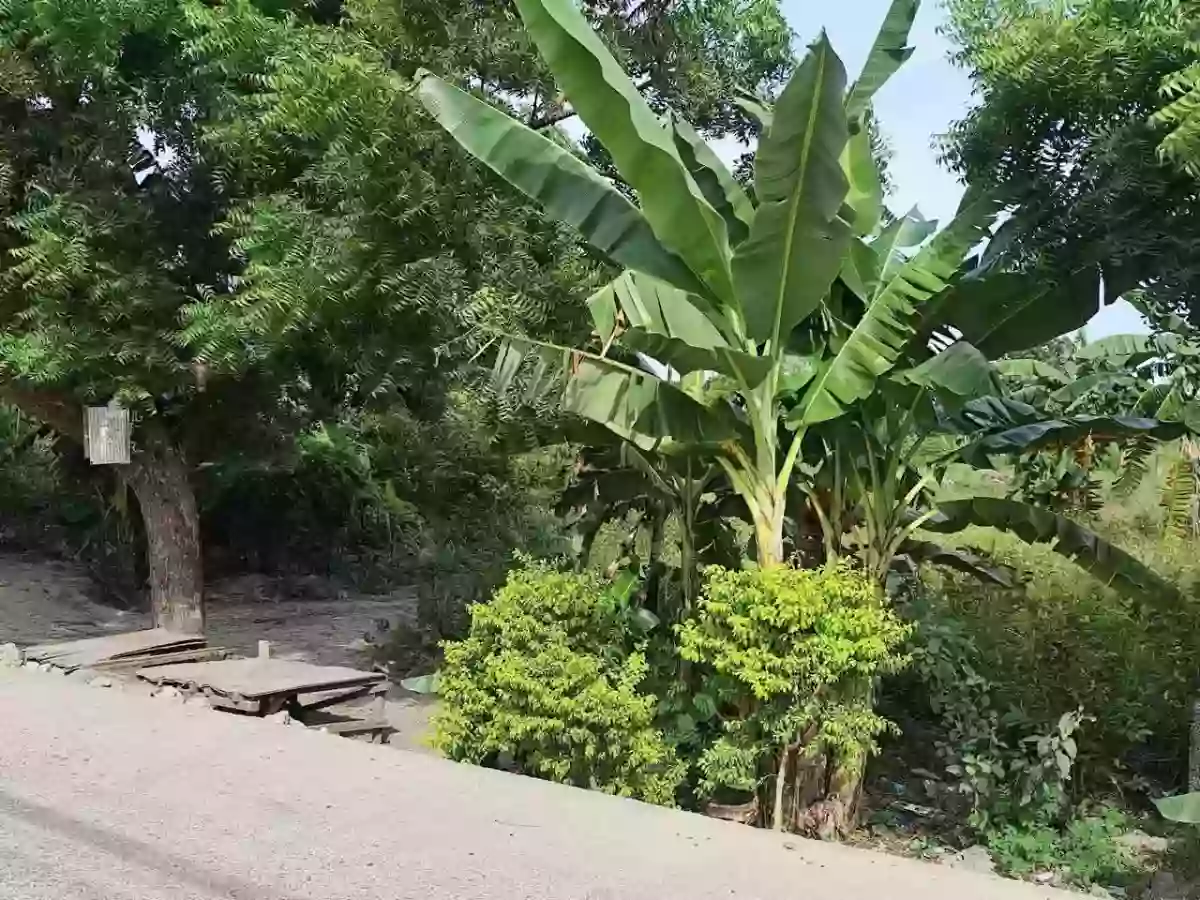 Open photo 14 of 18 — Lot for Sale near CCLEX Access Road