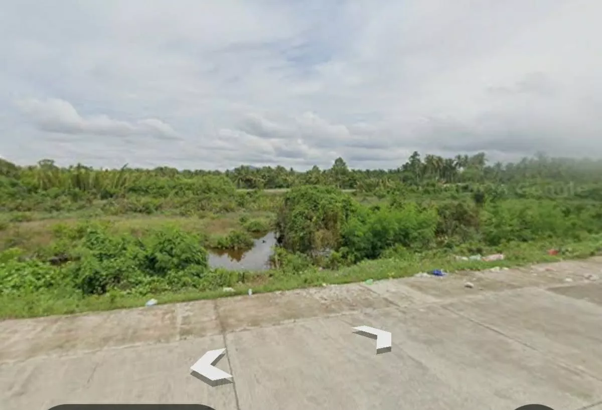 For Sale: Agricultural Lot Near Cabeza de Buenavista Rotunda, Buenavista — 27061 sqm — Agricultural Lot in Buenavista, Agusan del Norte, 8601 — Photo 4
