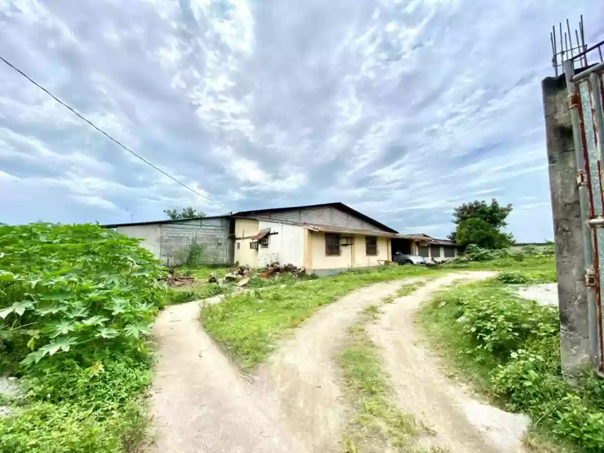 For Sale: Industrial Lot in Telapayong, Arayat — 3250 sqm — Industrial Lot in Arayat, Pampanga, 2012 — Photo 4