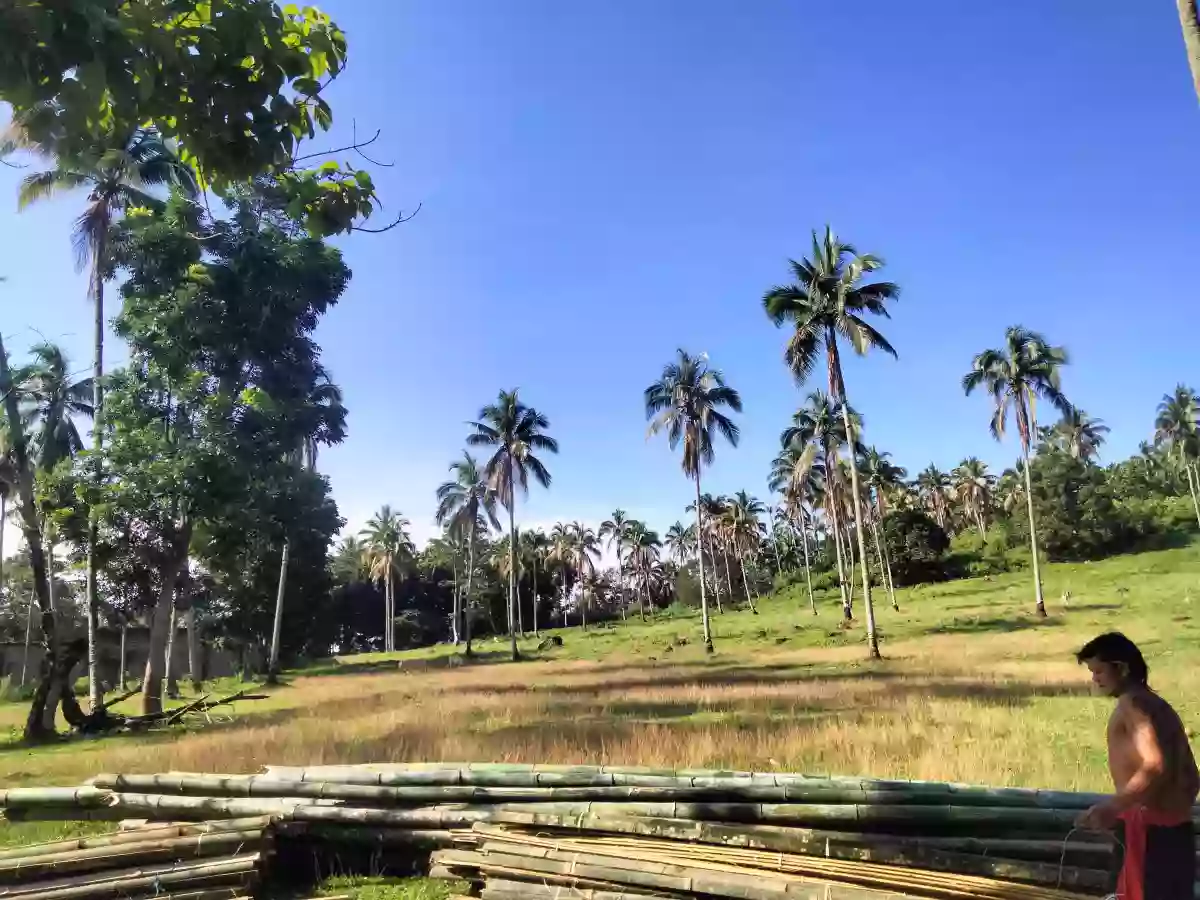 For Sale: Residential Lot Near Pagadian Doctors Specialist Hospital, Pagadian City — Residential Lot in Dao, Pagadian City, Zamboanga del Sur — Photo 4