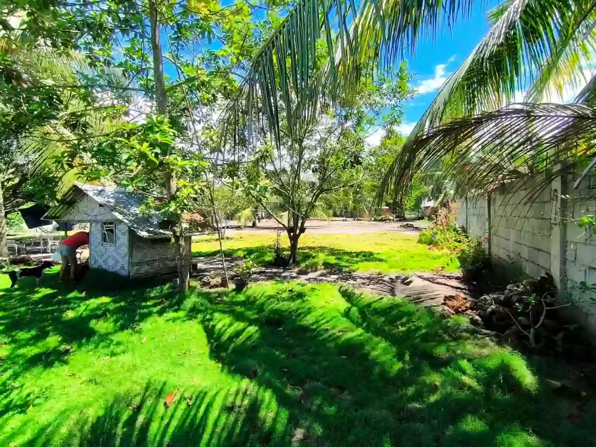 Farm Lot Forsale — Agricultural Lot in Conel, Gen. Santos City, South Cotabato — Photo 5