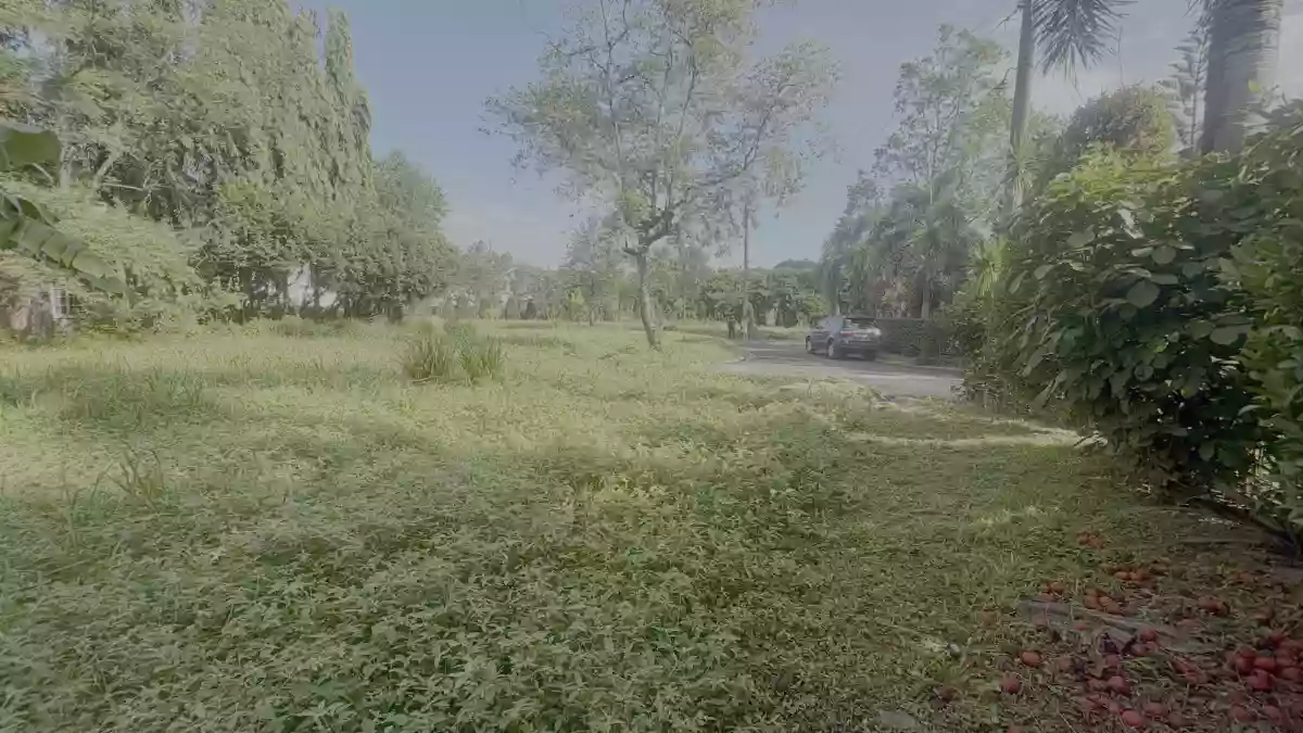 For Sale: Residential Lot in Panipuan, Mexico, Pampanga — 336 sqm — Residential Lot in Panipuan, Mexico, Pampanga — Photo 7