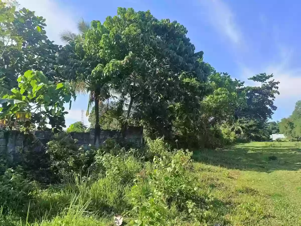 2,000 SQM Prime Industrial Lot for Sale Malagamot Road, Indangan, Buhangin District, Davao City — Industrial Lot in Indangan, Davao City, Davao del Sur — Photo 5