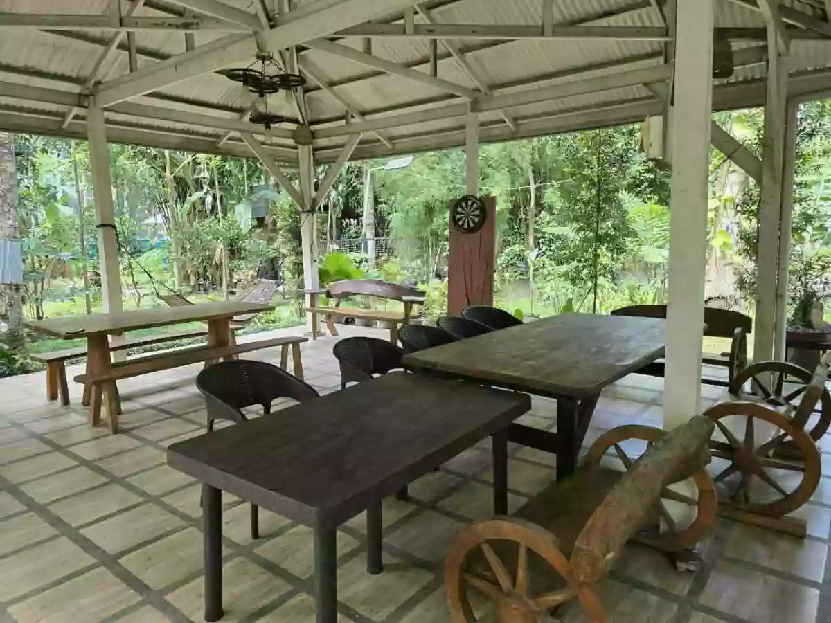Open photo 13 of 30 — 1000 sqm Agriturism Park for sale