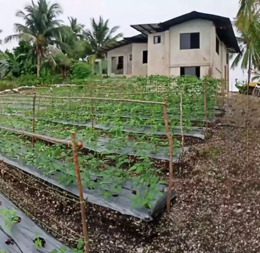LOT FOR SALE with Existing 4BR House  IN DALAGUETE