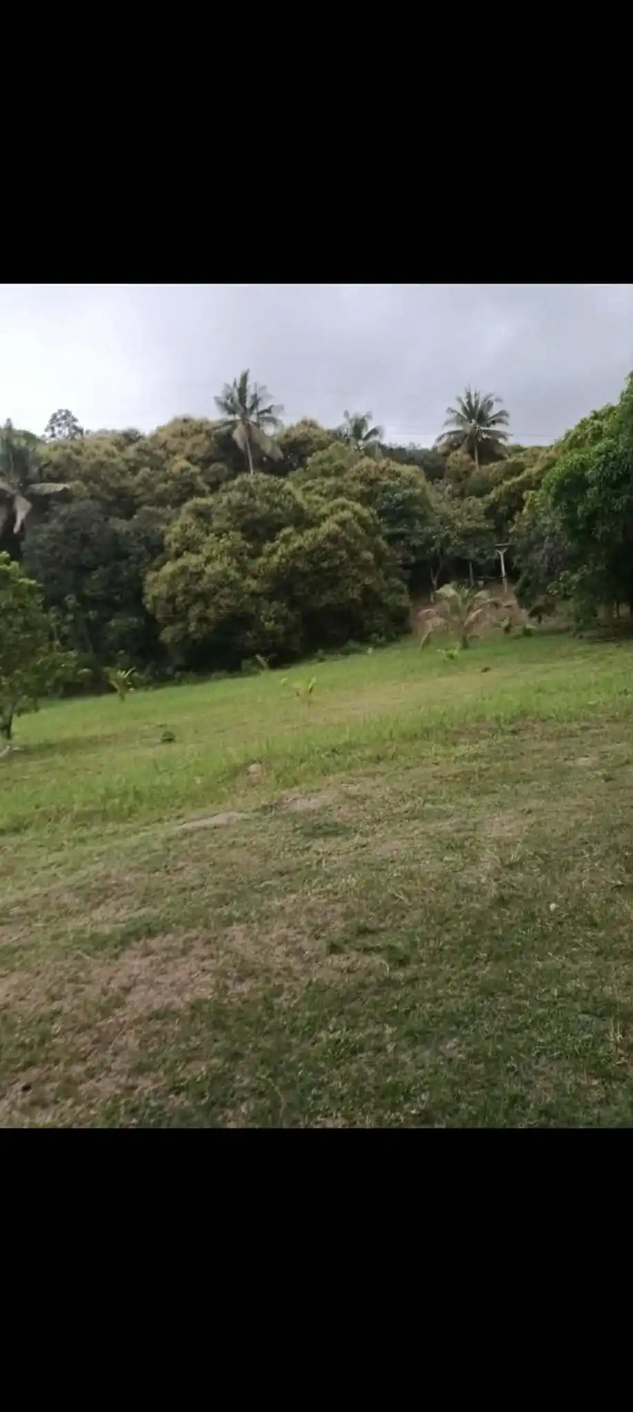 For Sale: Residential Lot in Consuelo, Magsaysay — 711 sqm — Residential Lot in Magsaysay, Misamis Oriental, 9015 — Photo 5