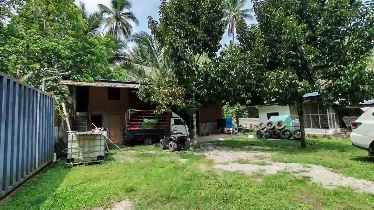 For Sale: Agricultural Lot in Polonuling, Tupi — 20000 sqm — Agricultural Lot in Tupi, South Cotabato, 9505 — Photo 7