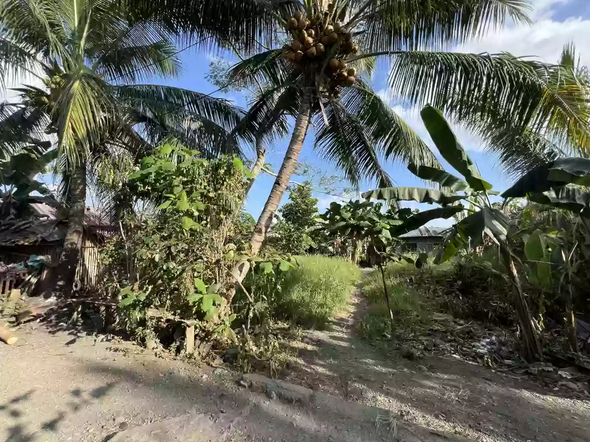 Rush Sale: Residential Lot Near Gaisano City Cabadbaran, Cabadbaran City — 492 sqm