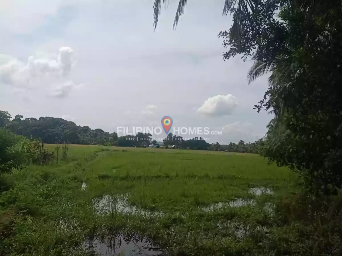 For Sale: Agricultural Lot in Sinawingan, Libungan — 15460 sqm