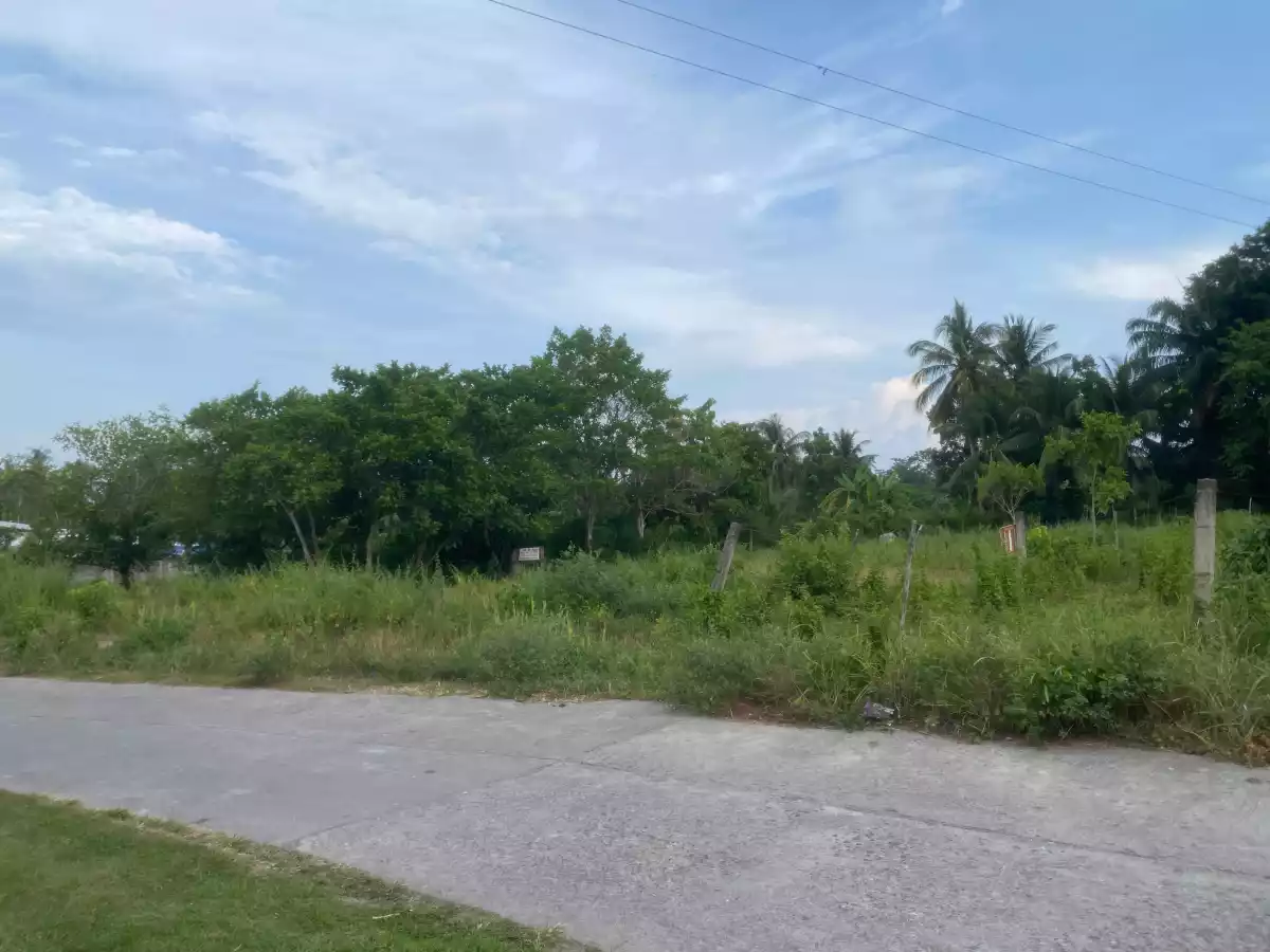 For Sale: Residential Lot in Bacung, Negros Oriental — 750 sqm — Residential Lot in Bacung, Negros Oriental, 6216 — Photo 5