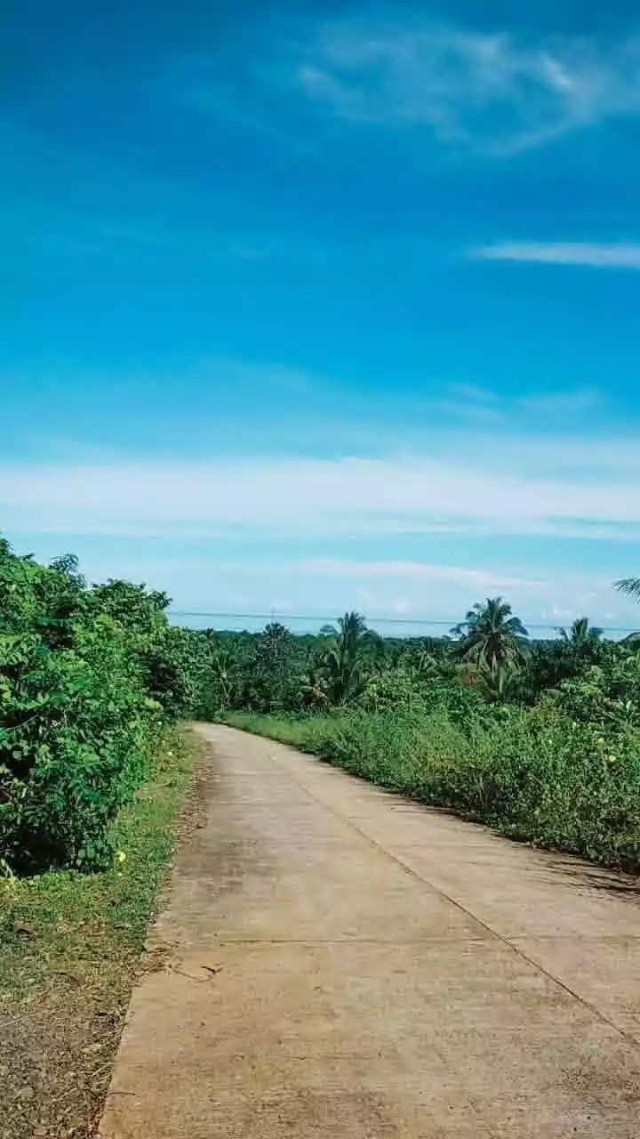 For Sale: Farm Lot in Brgy. Simpocan, Puerto Princesa City —450 per sqm sqm