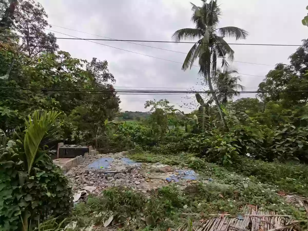 Agricultural Lot for Sale in Santa Lourdes, Puerto Princesa City — Investor Land — Agricultural Lot in Santa Lourdes, Puerto Princesa City, Palawan — Photo 3