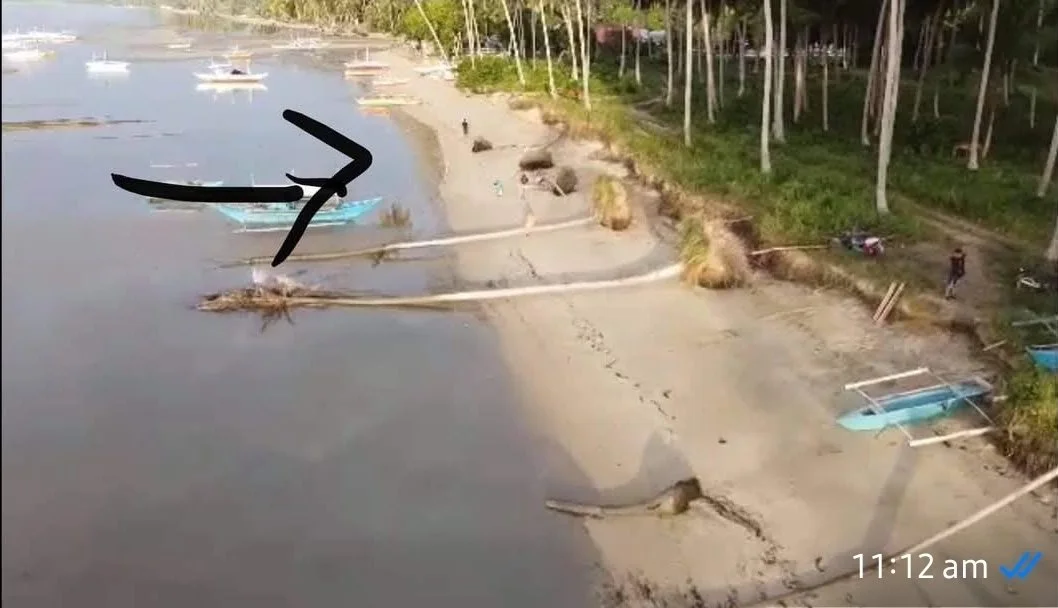 For Sale: Lucbuan Beach Lot in Puerto Princesa City — 195329 sqm Investment — Beach Lot in Puerto Princesa City, Palawan, 5300 — Photo 2