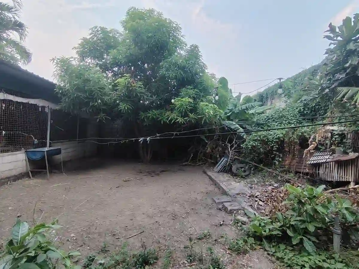 Open photo 8 of 8 — Rush Sale: 2BR House and Lot with 2 Commercial Units in Bintog, Plaridel