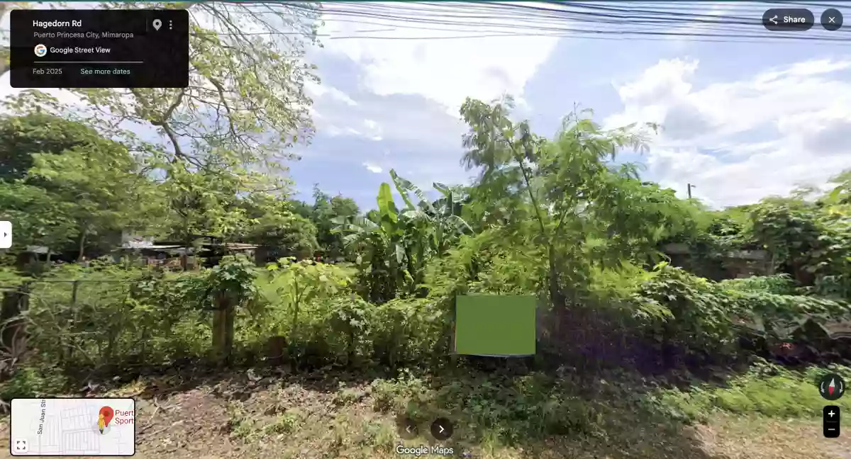 PRIME 2,000 SQM LOT FOR SALE in San Pedro, Puerto Princesa City, Palawan — Residential Lot in San Pedro, Puerto Princesa City, Palawan — Photo 3