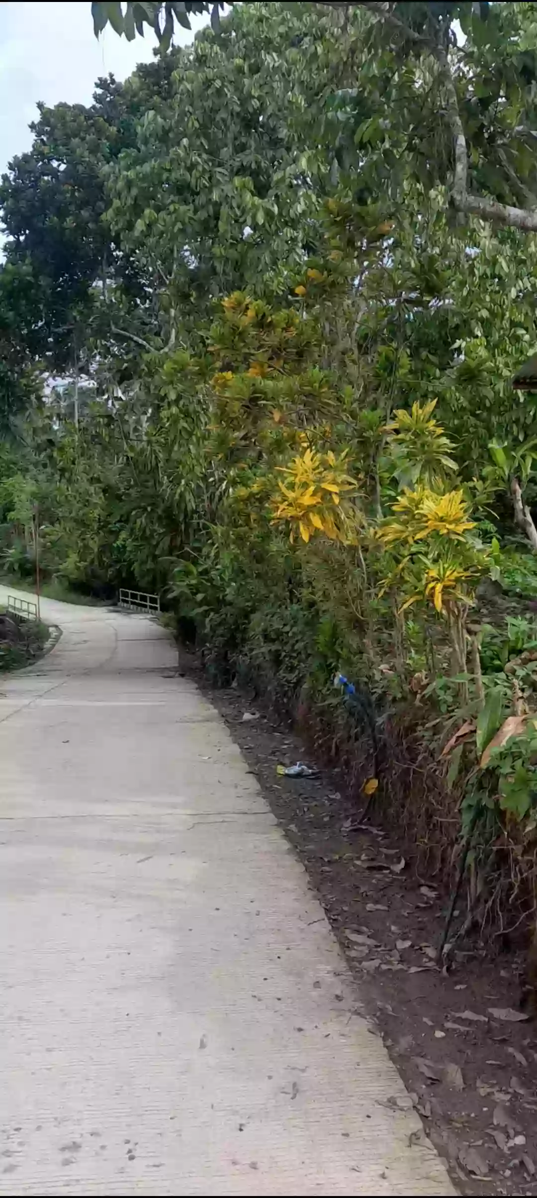 For Sale: Residential Lot in Singao, Kidapawan City — 400 sqm — Residential Lot in Singao, Kidapawan City, Cotabato — Photo 4
