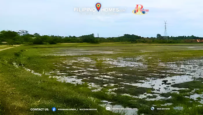 For Sale: Agricultural Lot Near Koronadal, South Cotabato — 10000 sqm — Agricultural Lot in Koronadal, South Cotabato, 9506 — Photo 3
