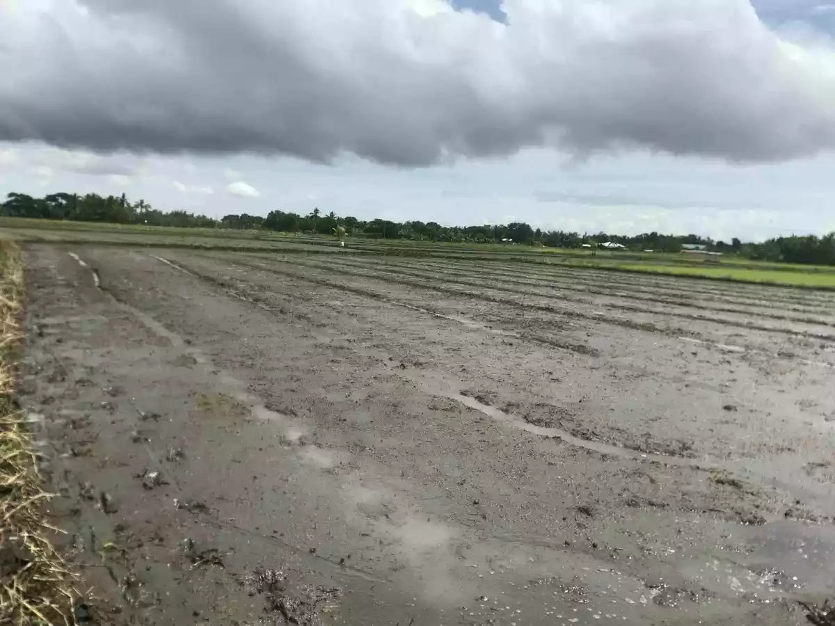 Clean title — Residential Lot in Ilawod Poblacion, Zarraga, Iloilo — Photo 5