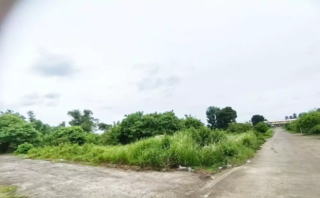 For Sale: Residential Lot in Pacol, Naga City — 103 sqm Corner