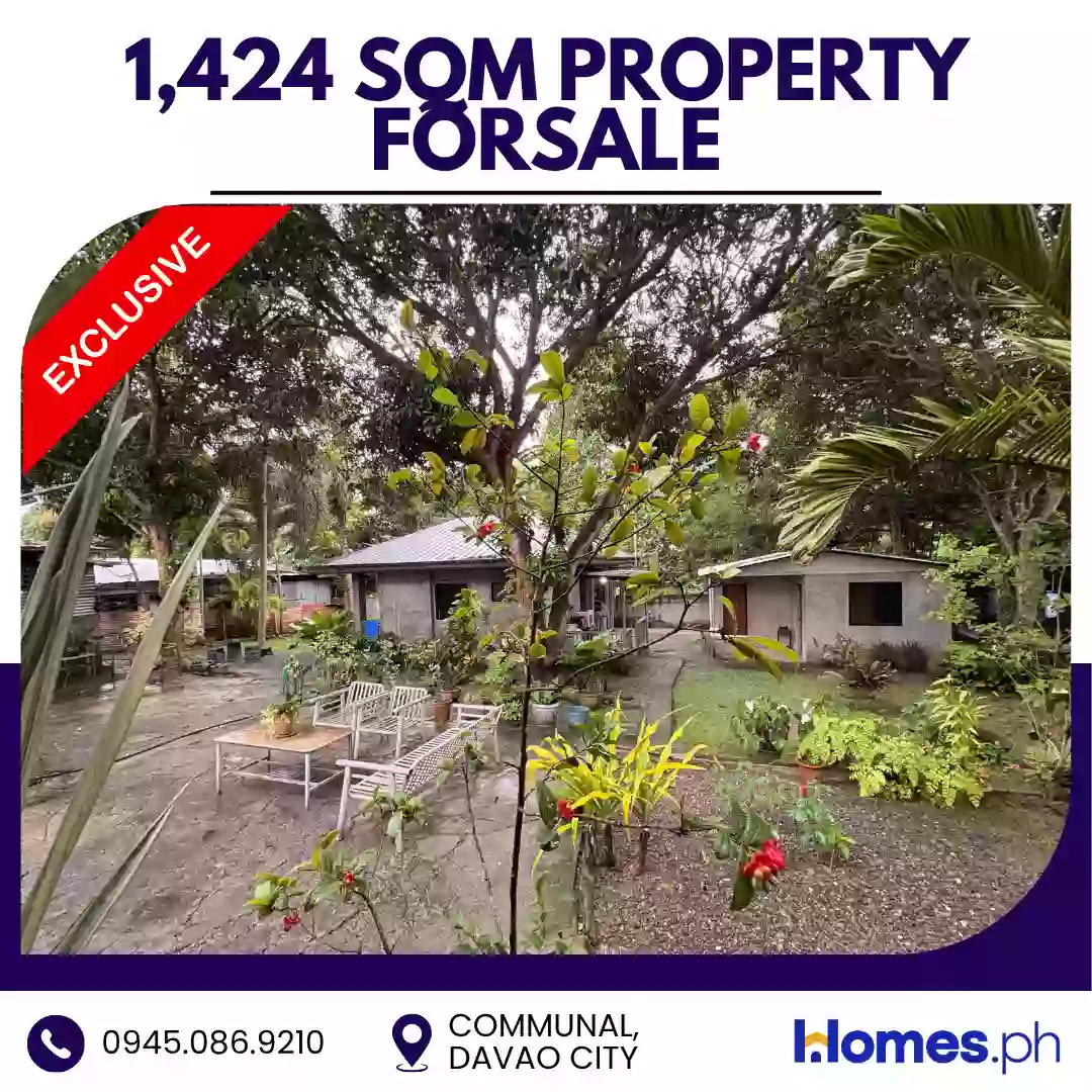 For Sale: House and Lot in Communal, Davao City — 1,424 sqm — House and Lot in Davao City, Davao del Sur, 8000 — Photo 4