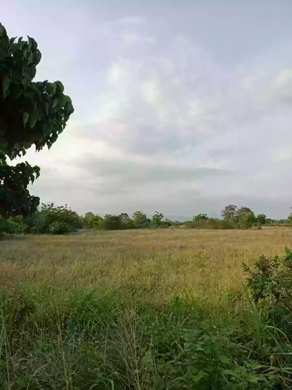 9 Hectares Lot for Sale Along Diversion Road, Barangay Mabuhay, General Santos City – Ideal for Development