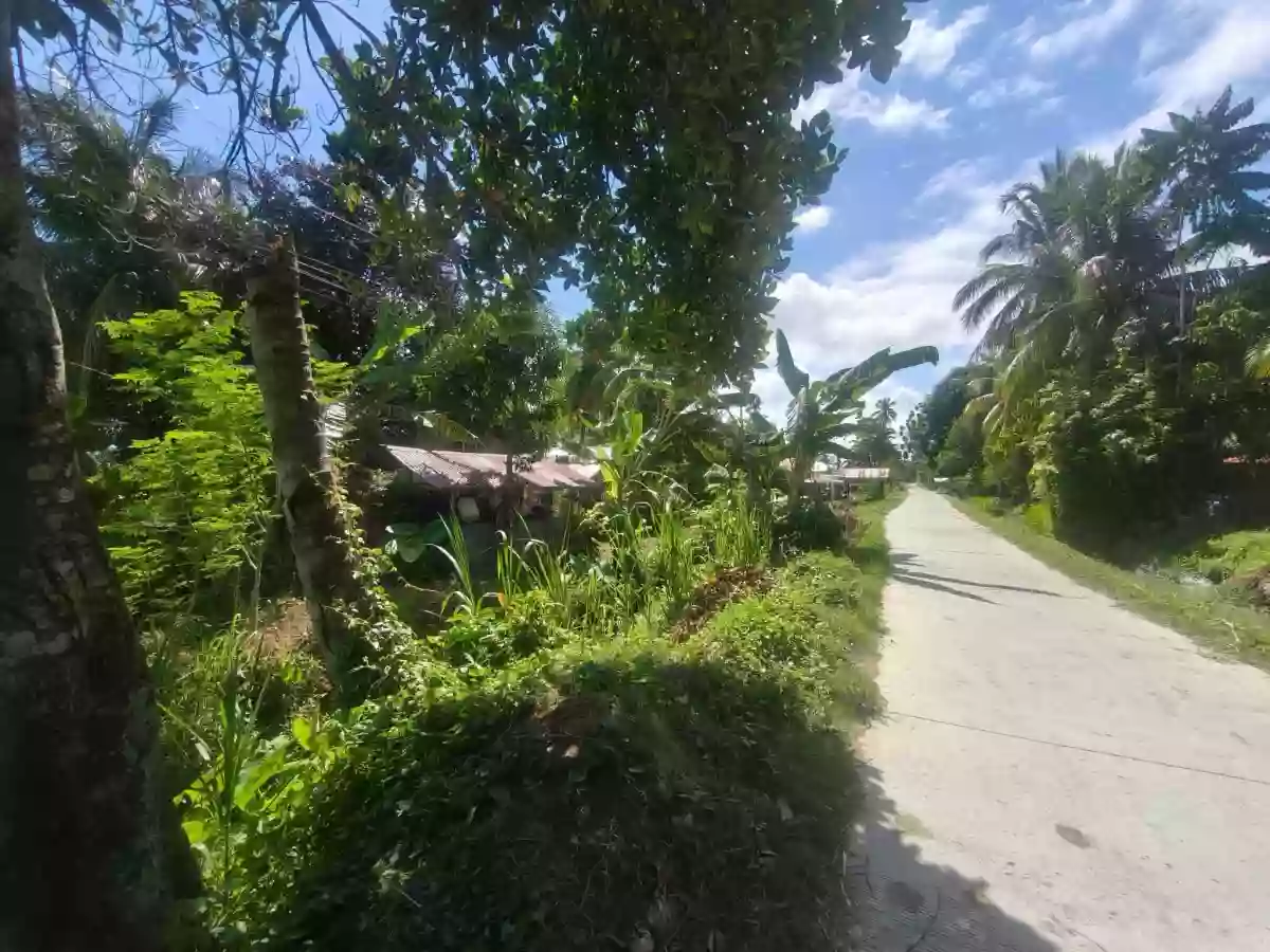 For Sale Agricultural Lot in Patindeguen, Midsayap — 5000 sqm — Agricultural Lot in Patindeguen, Midsayap, Cotabato — Photo 2