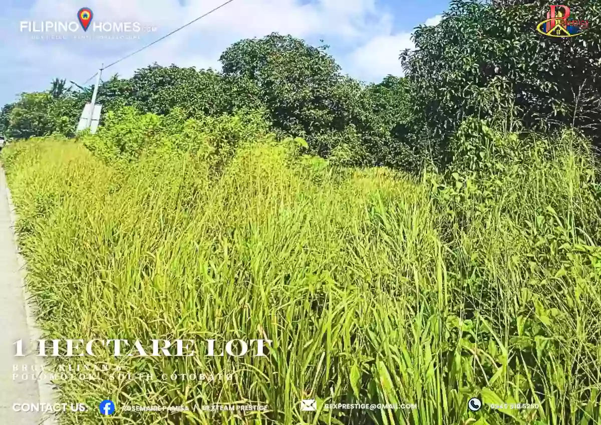 For Sale Agricultural Lot in Klinan 6, Polomolok — 10000 sqm — Agricultural Lot in Polomolok, South Cotabato, 9504 — Photo 3