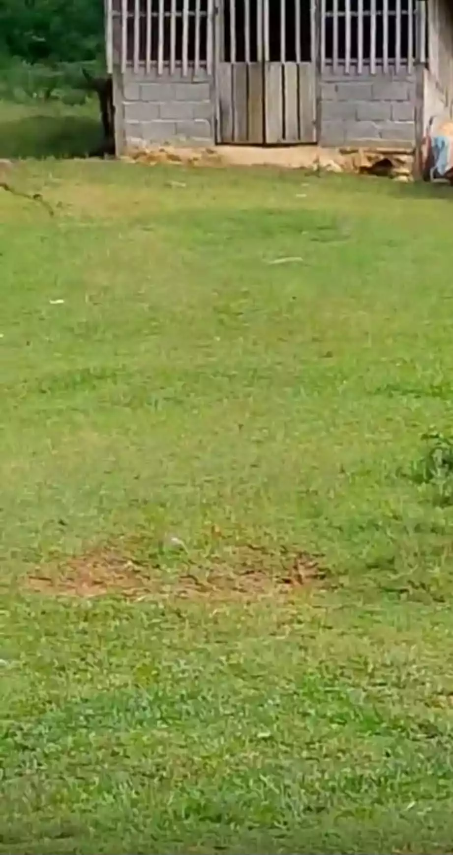 For Sale: Agricultural Lot Near Nuboran, Pagadian City — 180289 sqm — Agricultural Lot in Dampalan, Pagadian City, Zamboanga del Sur — Photo 7