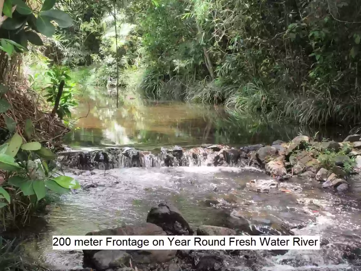 Open photo 14 of 15 — RARE OPPORTUNITY TO BUY A “TURNKEY” INVESTMENT PROPERTY APPROXIMATELY 8 HECTARES / 2 CLEAN TITLES