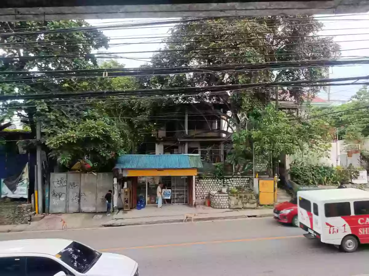 265 sqm Commercial Lot Along D. Jakosalem, Cebu City