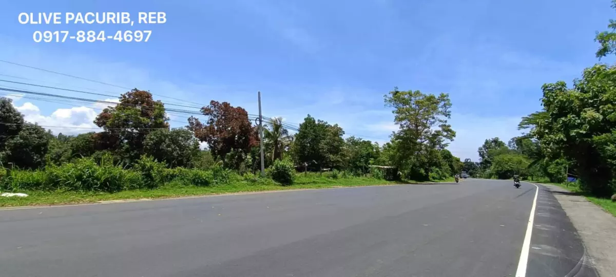 for sale Agricultural Lot in Bayanga, Cagayan de Oro City — 30,000 sqm — Agricultural Lot in Bayanga, Cagayan de Oro City, Misamis Oriental — Photo 5