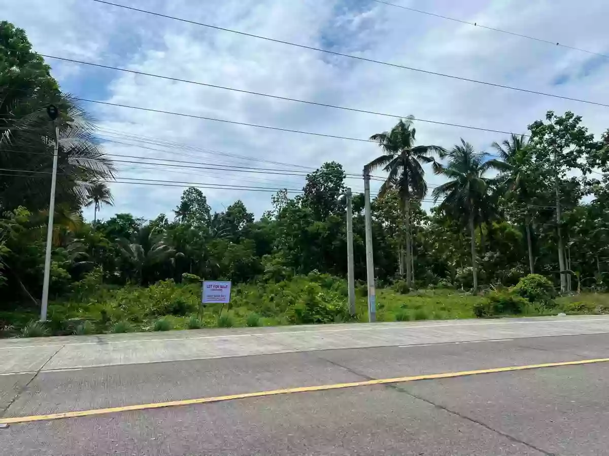 For Sale: Agricultural Lot in Soriano, Cabadbaran City — 3226 sqm — Agricultural Lot in Cabadbaran City, Agusan del Norte, 8605 — Photo 4