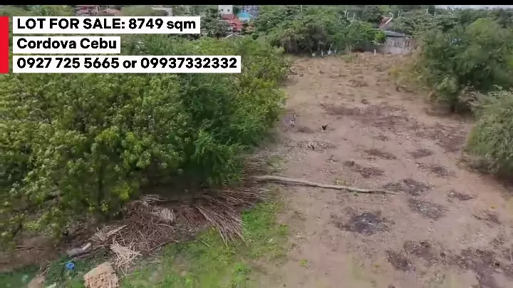 For Sale: Residential Lot in Poblacion, Cordova — 8749 sqm — Residential Lot in Cordova, Cebu, 6017 — Photo 5