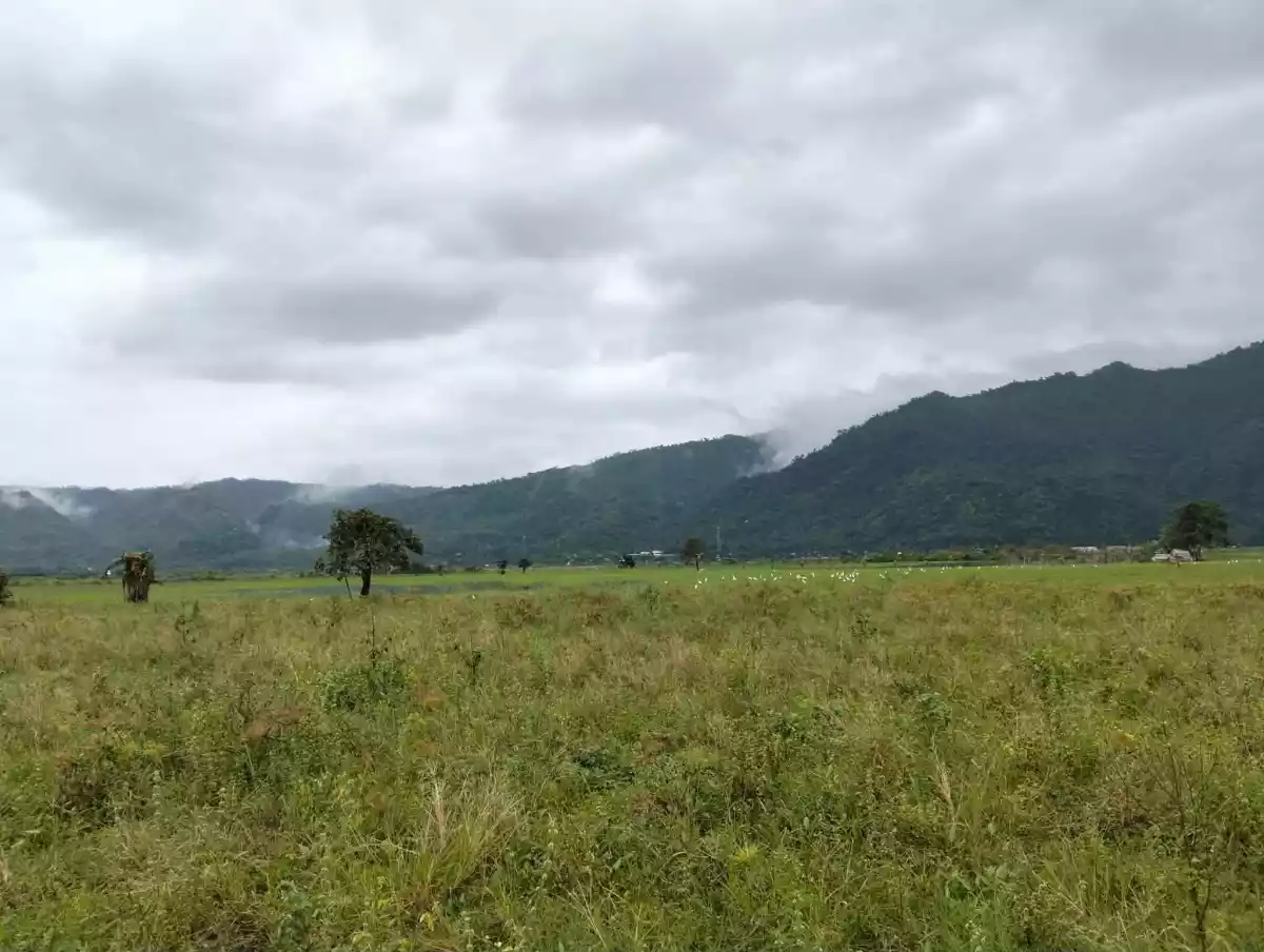 For Sale: 20892 sqm Agricultural Lot in Magsaysay, Jabonga — Agricultural Lot in Jabonga, Agusan del Norte, 8607 — Photo 4