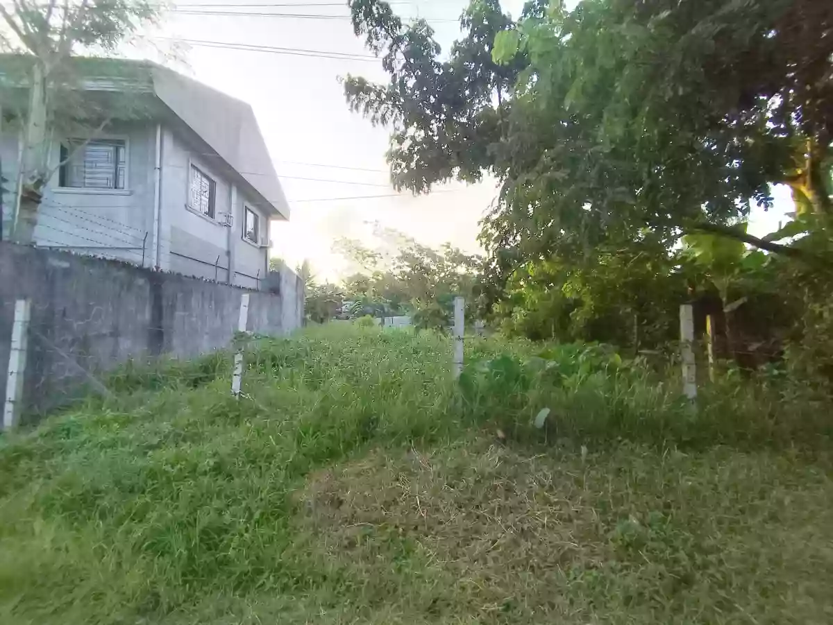 Rush Sale: RESIDENTIAL LOT IN PILI, CAMARINES SUR! 🏡 — Residential Lot in San Jose, Pili, Camarines Sur — Photo 4