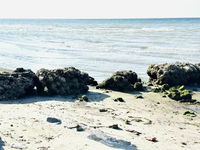 FOR SALE : BEACH LOT IN BULUA, CDO CITY — Beach Lot in Bulua, Cagayan de Oro City, Misamis Oriental — Photo 4