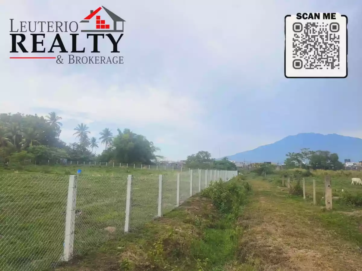 For Sale: Agricultural Lot in Pacol, Naga City — 4,000 sqm