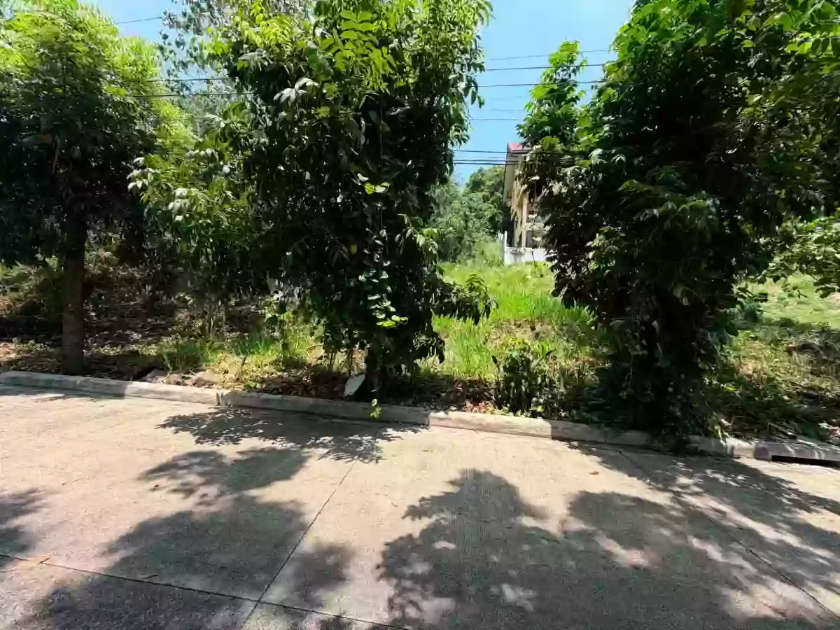 For Sale: Residential Lot in Balulang, Cagayan de Oro City — 337 sqm — Residential Lot in Masterson Avenue, Balulang, Cagayan de Oro City — Photo 4