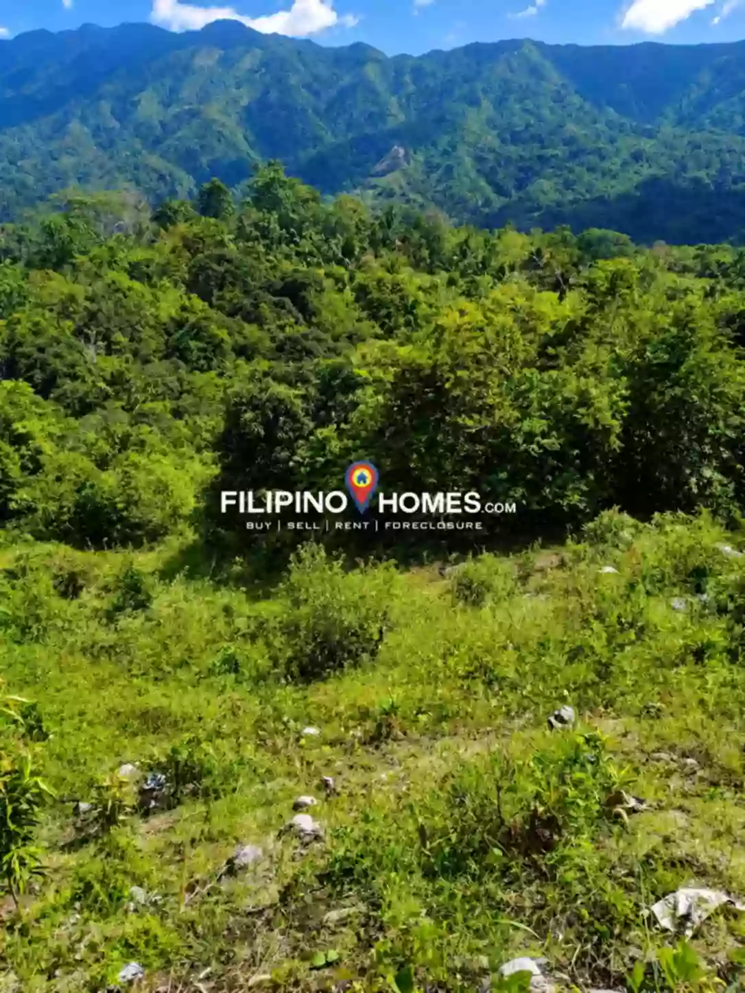 Affordable Farm Lot — Agricultural Lot in Kimarayang, Pigkawayan, Cotabato — Photo 4