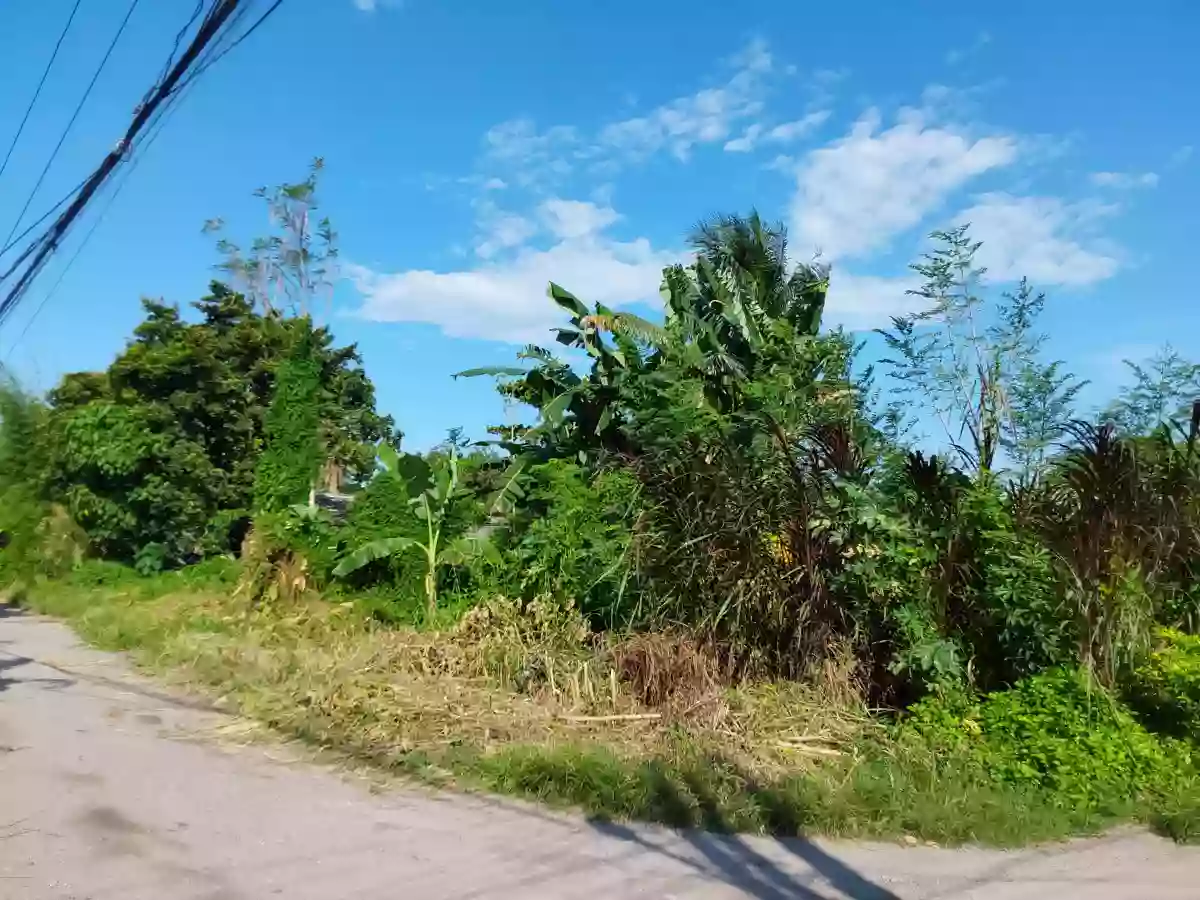 For Sale: Residential Lot in San Isidro, General Santos City — 300 sqm corner lot — Residential Lot in General Santos City, South Cotabato, 9500 — Photo 4