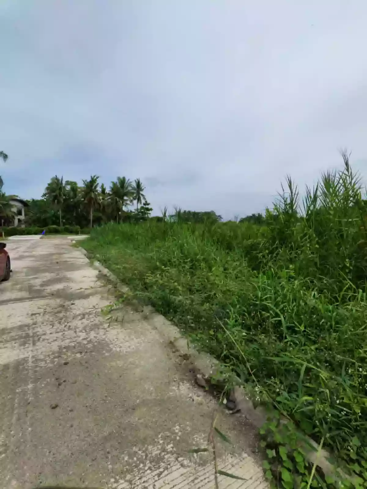 Residential Lot for Sale at Employees Village, Butuan City — Residential Lot in Butuan City, Agusan del Norte, 8600 — Photo 4