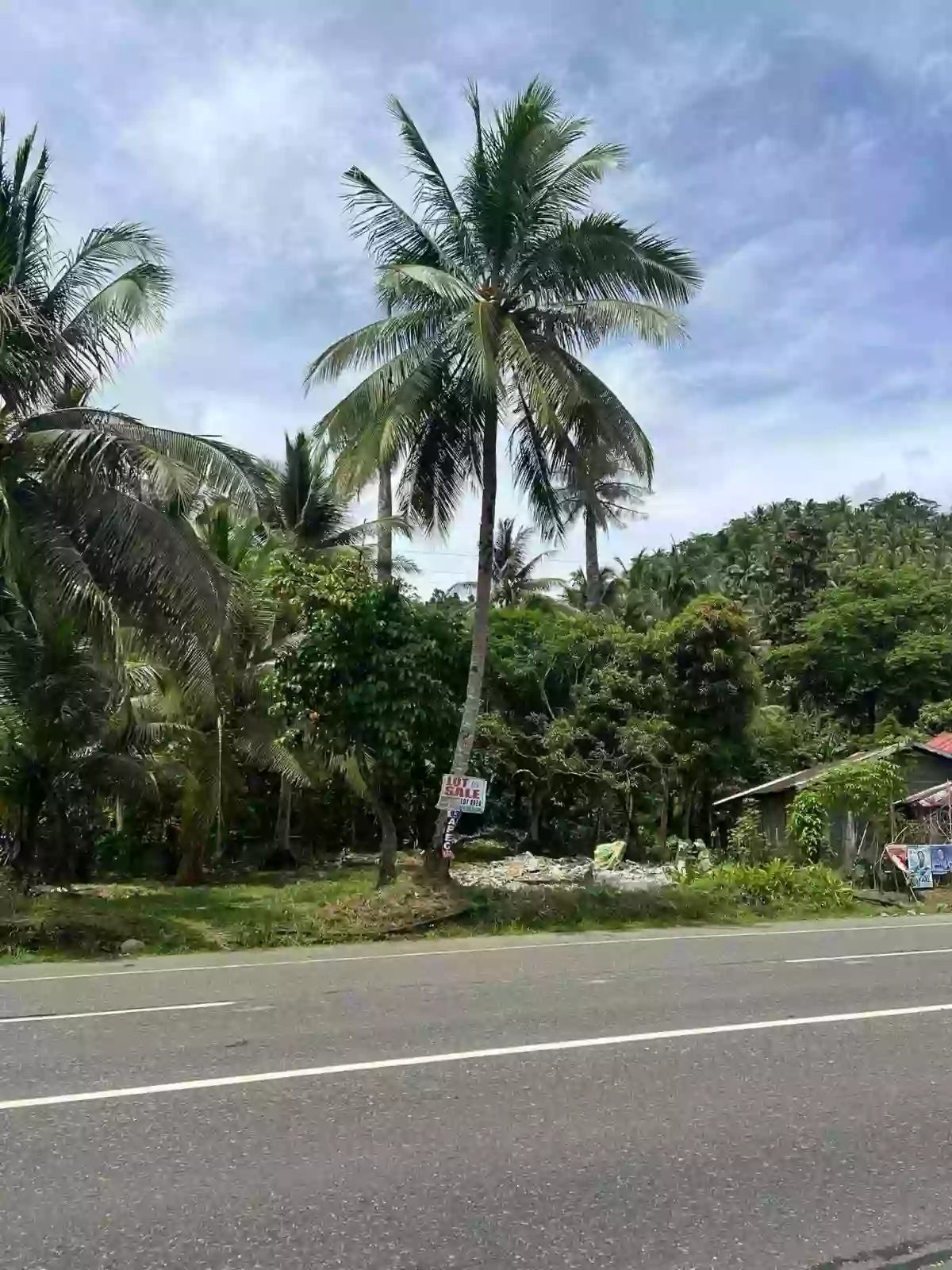For Sale: Residential Lot Near Pongtud Elementary School, Alegria — 380 sqm